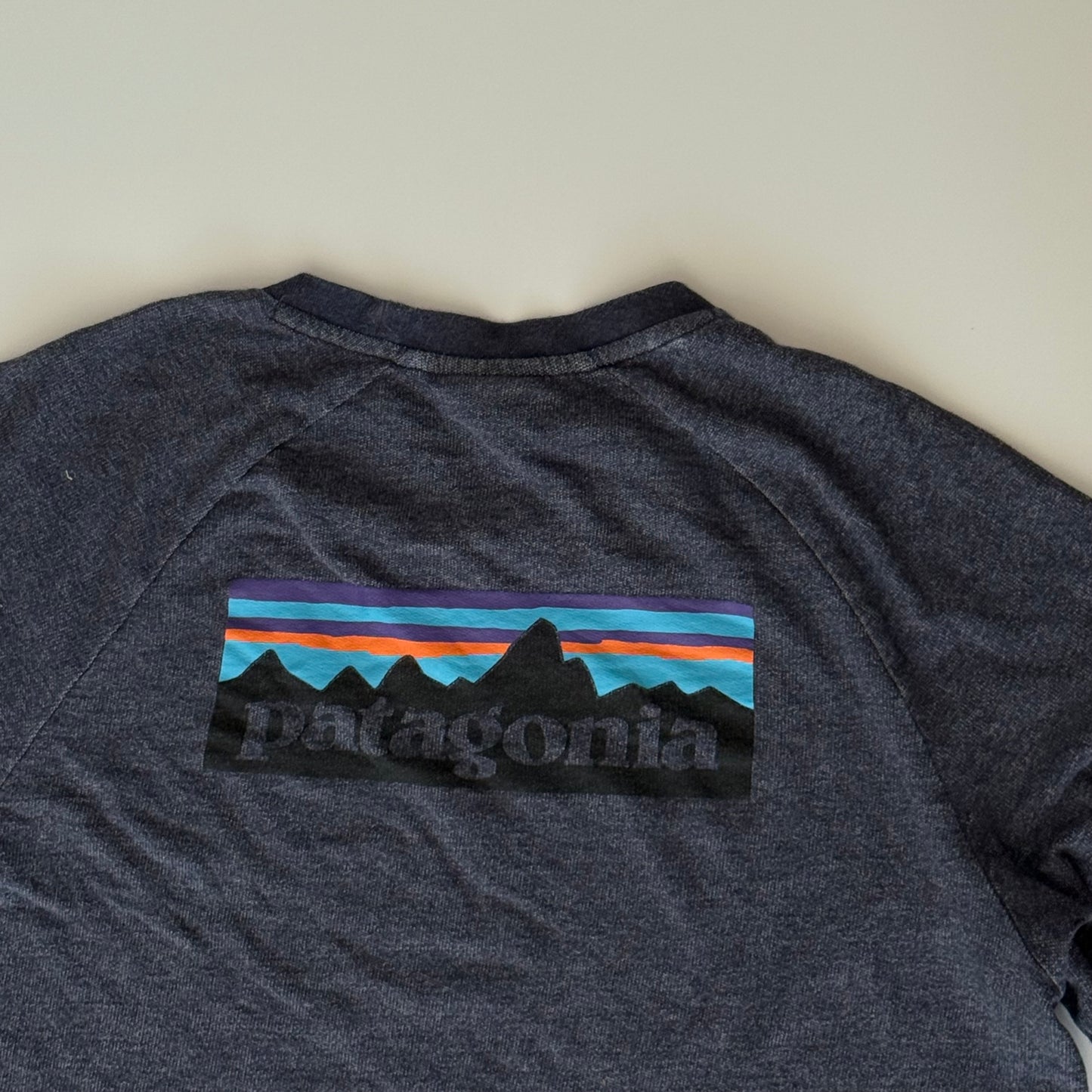 Sudadera Patagonia Azul Jaspe (M)