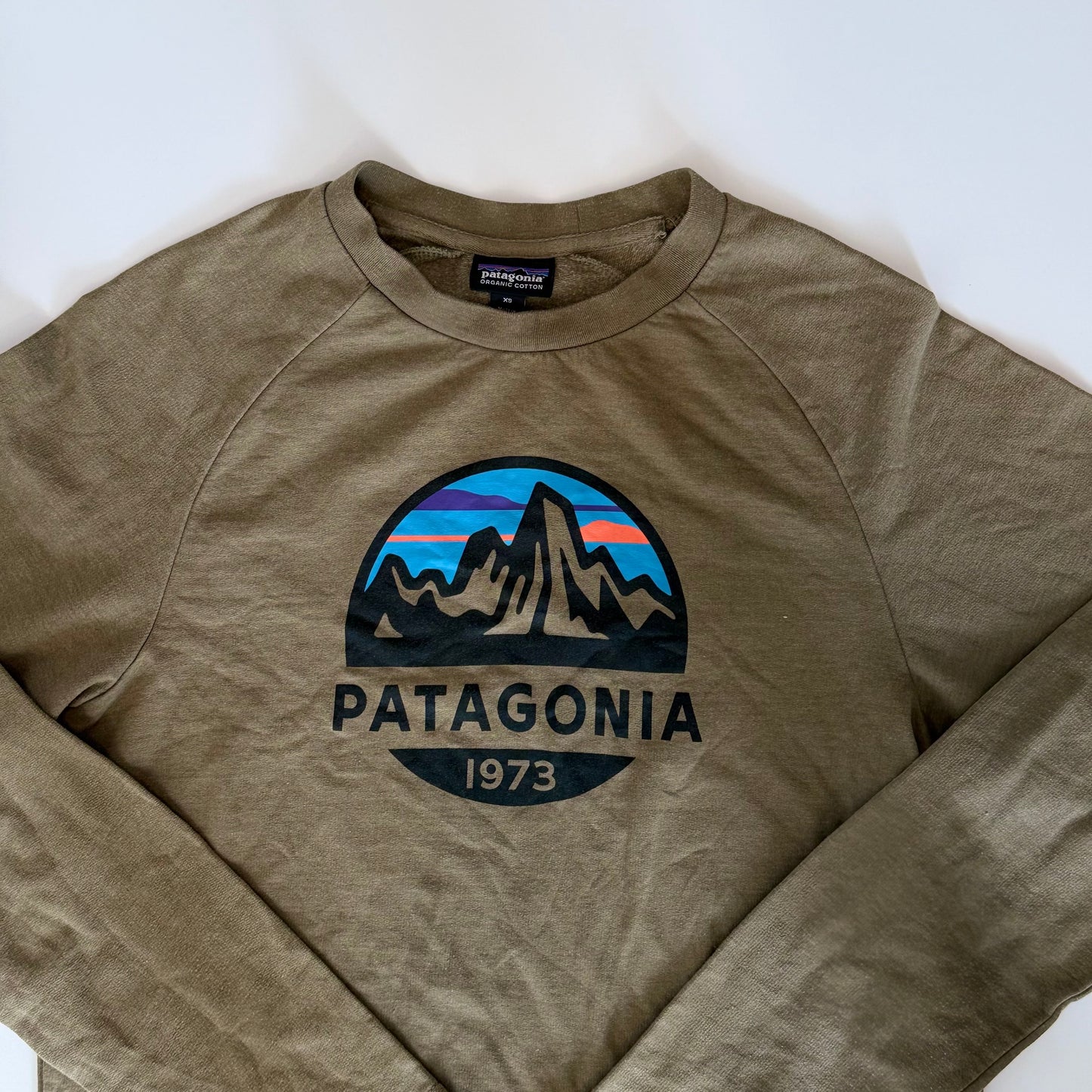 Playera Patagonia (XS)